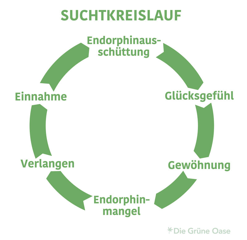 Der Suchtkreislauf sorgt im Zusammenspiel mit dem Suchtdruck immer wieder für einen Rückfall
